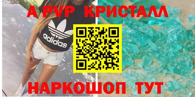 стафф Кингисепп
