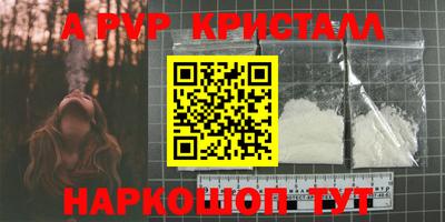 стафф Кингисепп