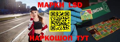 стафф Кингисепп