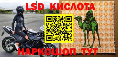 стафф Кингисепп