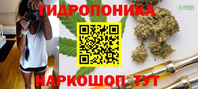 ГАЛЛЮЦИНОГЕННЫЕ ГРИБЫ Кимры