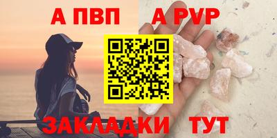 стафф Кингисепп