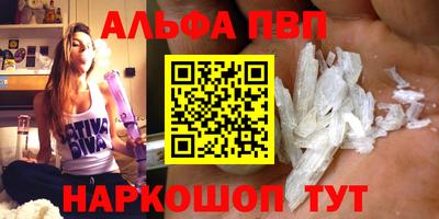 стафф Кингисепп