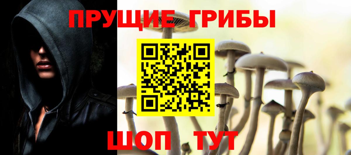Еманжелинск  Галлюциногенные грибы прущие грибы  Вход с VPN 